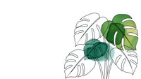 Tropical monstera leaves in line art style with green accents on white background for modern botanical decor and interior design projects.