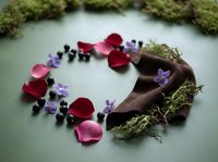Romantic heart shape made from rose petals, purple flowers, moss and natural elements on soft green background for wedding or Valentine's Day designs.