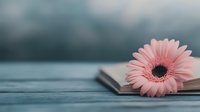 Pink gerbera daisy flower resting on open book pages with soft blurred background creating peaceful reading and literature concept for relaxation.