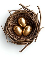 Golden eggs in wooden nest on white background, symbolizing wealth, investment, and financial security.