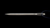 Surgical forceps with fine pointed tips isolated on transparent background, ready for medical education, clipart, print-on-demand products, and design use.