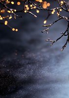 Frozen tree branches with golden bokeh lights against dark winter background, snow particles floating in cold air create magical atmosphere.