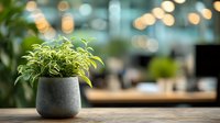 Small green plant in gray concrete pot on wooden table with blurred bokeh background, creating calm atmosphere for home or office decor.