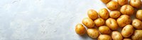 Fresh raw organic potatoes scattered on light gray concrete background with copy space for text, top view panoramic banner composition.
