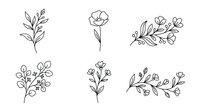 Botanical line art illustrations featuring minimalist hand-drawn plants, flowers and leafy branches. Isolated vector designs suitable for logos, invitations, and decorative graphics.
