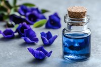 Blue butterfly pea flower tea in small glass bottle with cork stopper, surrounded by fresh purple petals on gray concrete background, natural herbal drink.
