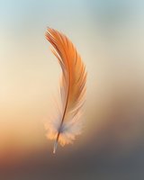 Single orange feather floating gracefully against soft blurred background with warm golden light creating dreamy atmospheric effect for spiritual concepts.
