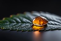Golden amber cannabis concentrate drop on dark green leaf with water droplets, dramatic lighting creates glowing effect against black background.