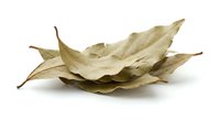 Dried bay leaves isolated on white background for culinary herbs spices cooking ingredients natural organic seasoning kitchen food preparation recipes.