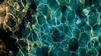 Abstract turquoise water surface with ripples and light reflections creating organic patterns, suitable for backgrounds in wellness and spa designs.