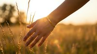 Hand gently touching tall grass in golden sunset light with warm bokeh background creating peaceful nature connection moment.