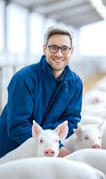 Caucasian male veterinarian in blue coat and glasses smiling while examining white pigs at modern farm facility. Professional livestock care and animal husbandry.
