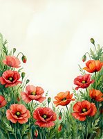 Watercolor red poppies floral border frame with copy space, green stems and buds on light background for cards, invitations, posters.