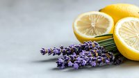 Fresh yellow lemons cut in half with fragrant purple lavender flowers on gray concrete background, natural aromatherapy and spa concept.