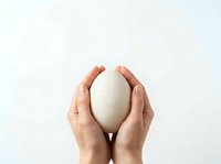 Hands of a Caucasian adult holding a white egg against a neutral background, symbolizing care, fragility, and protection for design and conceptual projects.