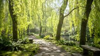 Peaceful garden pathway winding through lush green weeping willow trees with dappled sunlight creating serene natural landscape for relaxation and meditation.