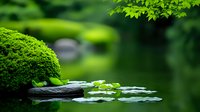 Tranquil Japanese garden pond with lily pads and moss-covered rocks creating peaceful zen atmosphere for meditation and relaxation concepts.