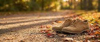 Worn brown leather shoes abandoned on autumn forest path with fallen colorful leaves and warm golden sunlight filtering through trees creating peaceful mood.