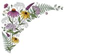 Botanical corner border with wildflowers, ferns and herbs on white background. Floral frame design element for greeting cards and invitations.