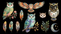 Colorful owl collection with feathers, foliage and celestial elements isolated on transparent background. Ready for t-shirt design, clipart, stickers, sublimation and print-on-demand projects.