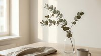 Eucalyptus branches in clear glass vase on wooden table with natural window light, suitable for home decor, interior design, and lifestyle photography projects.