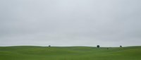 Minimalist rural landscape with rolling green hills and scattered trees under overcast sky, suitable for backgrounds and editorial use.