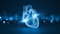 Digital wireframe heart anatomy with glowing particles and network connections on dark blue background for medical technology and healthcare concepts.