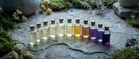 Row of glass bottles containing various colored essential oils and herbal extracts arranged on stone surface with moss and natural elements for aromatherapy and wellness.