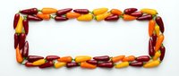 Colorful kidney beans arranged in rectangular frame border on white background. Mixed legumes in red, orange and yellow colors isolated for healthy food design.