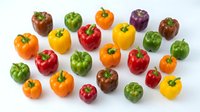 Colorful bell peppers in red, yellow, green, orange and purple varieties arranged on white background. Fresh organic vegetables isolated for cooking and healthy eating.