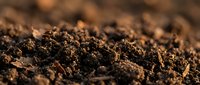 Rich, dark soil texture with organic matter and minerals visible in close-up detail, suitable for agriculture, gardening, environmental, and nature-related projects.