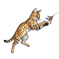Playful spotted cat with brown and tan markings jumping to catch a colorful feathered toy on white background. Isolated clipart ready for design projects.