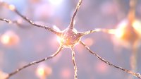Glowing neuron cell with branching dendrites and axons in warm golden light, neural network connectivity concept for medical education and neuroscience research.