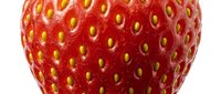 Fresh ripe strawberry with bright red skin and yellow seeds isolated on white background, suitable for food, nutrition, and healthy eating designs.