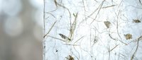 Handmade paper texture with natural plant fibers and organic materials embedded creating rustic artisan background for craft projects and design work.