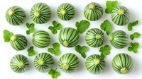 Fresh round striped green zucchini with leaves arranged in rows on white background, top view. Organic summer vegetables for healthy eating.
