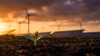 Green plant seedling growing in fertile soil with wind turbines generating clean energy under dramatic sunset sky for sustainable development concepts.