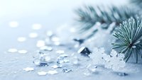 Winter holiday composition with silver pine branch, delicate snowflakes and sparkling bokeh lights creating festive seasonal atmosphere for celebrations.