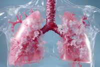 Anatomical visualization of human lungs and bronchi in pink crystal formation against light background, showing detailed respiratory system structure.