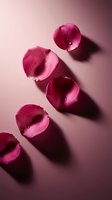 Pink rose petals with water drops arranged on a soft pink background, casting dramatic shadows for beauty and romance concepts.
