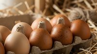 Fresh brown eggs in cardboard carton surrounded by natural straw, farm-fresh organic produce for healthy cooking and baking ingredients.