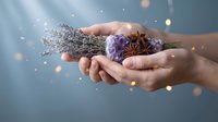 Female hands gently holding dried lavender bundle with purple flowers and star anise spice against soft bokeh background for aromatherapy wellness spa relaxation.