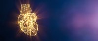 Glowing golden human heart with bright light rays on dark blue purple gradient background for medical healthcare cardiology concepts.