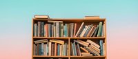 Wooden bookshelf filled with colorful books against a pastel gradient sky background, evoking knowledge, education, and literary culture.