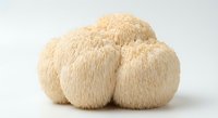 Lion's mane mushroom cluster with white spiky texture isolated on white background for culinary and health supplement design applications.