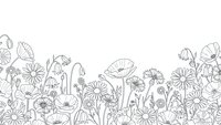 Wildflower meadow border with poppies, daisies and various blooms in black line art style on white background for coloring books and botanical designs.