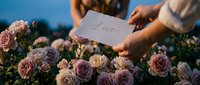 Hands holding a card with gold Love lettering among blooming pink roses in a garden at dusk, romantic Valentine concept.