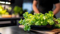 Fresh green lettuce leaves on dark plate against wooden surface in restaurant kitchen, with blurred chef silhouette in background. Professional food preparation setting.
