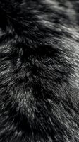 Close-up macro shot of black and silver animal fur texture showing detailed hair strands and natural pattern. Suitable for texture and background designs.