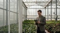 Young Caucasian businessman in suit using tablet computer in modern greenhouse with green plants, agricultural technology and smart farming concept.